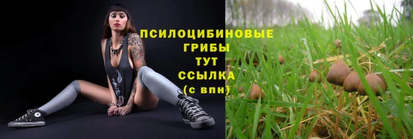 mdpv Абинск