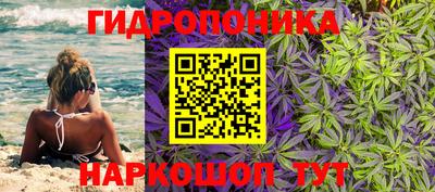 гидропоника Тара