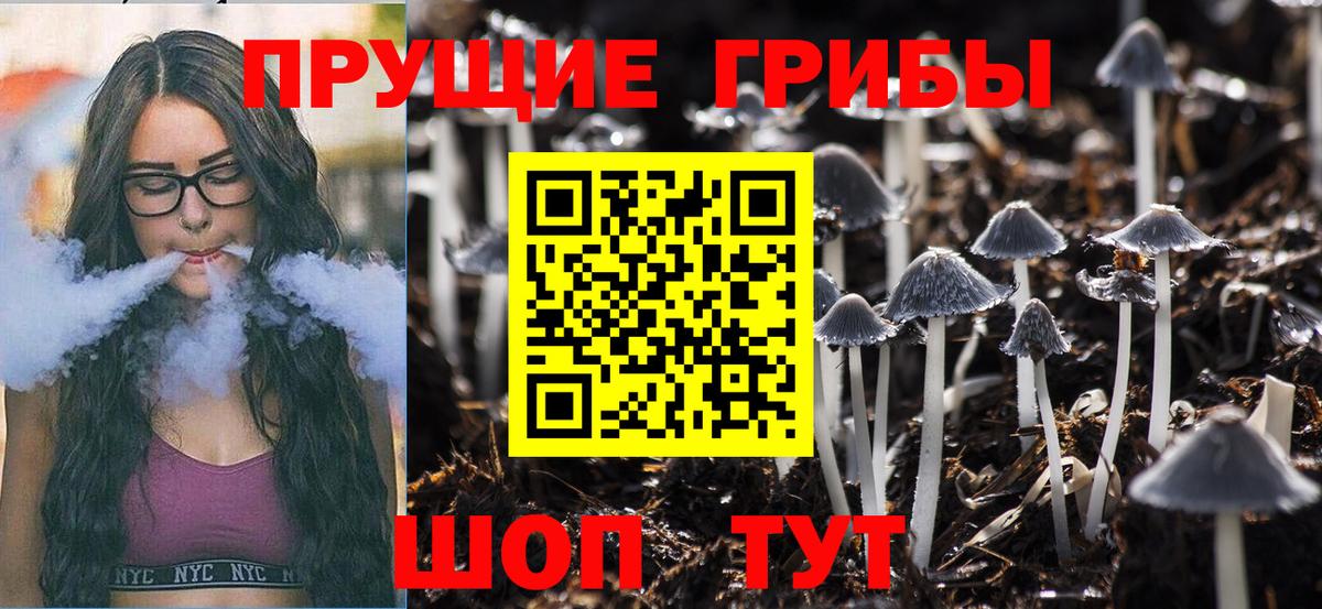 Галлюциногенные грибы Psilocybine cubensis  Псилоцибиновые грибы MAGIC MUSHROOMS  Челябинск  Вход с VPN 